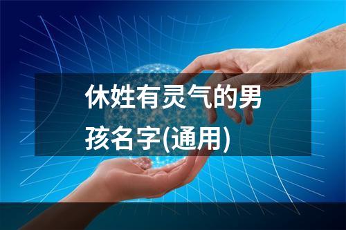 休姓有灵气的男孩名字(通用)
