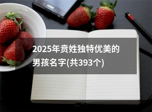 2025年贲姓独特优美的男孩名字(共393个)