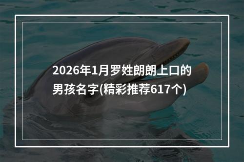 2026年1月罗姓朗朗上口的男孩名字(精彩推荐617个)