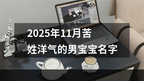 2025年11月苦姓洋气的男宝宝名字