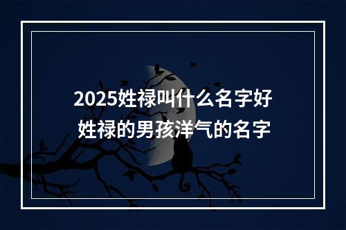 2025姓禄叫什么名字好 姓禄的男孩洋气的名字