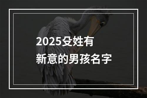2025殳姓有新意的男孩名字