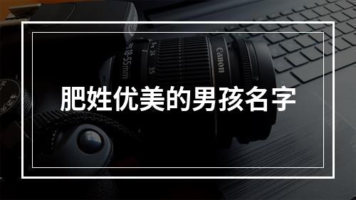 肥姓优美的男孩名字