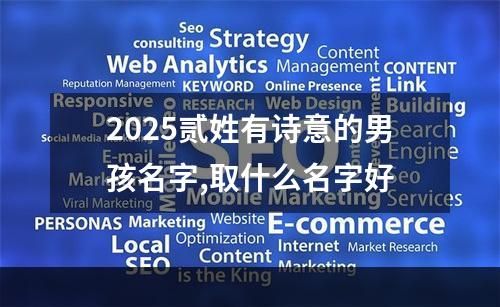 2025贰姓有诗意的男孩名字,取什么名字好