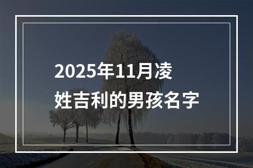 2025年11月凌姓吉利的男孩名字