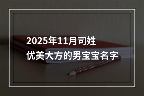 2025年11月司姓优美大方的男宝宝名字