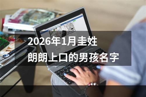 2026年1月圭姓朗朗上口的男孩名字