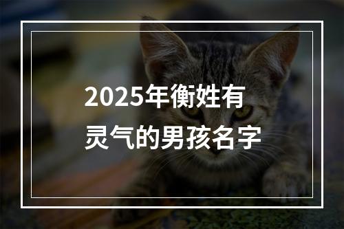 2025年衡姓有灵气的男孩名字