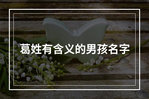 葛姓有含义的男孩名字
