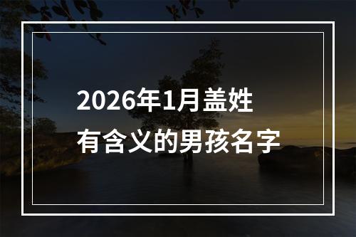 2026年1月盖姓有含义的男孩名字