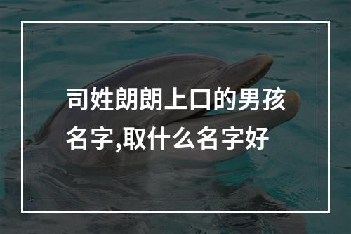 司姓朗朗上口的男孩名字,取什么名字好