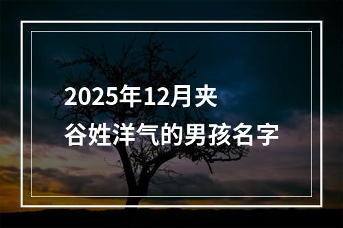 2025年12月夹谷姓洋气的男孩名字