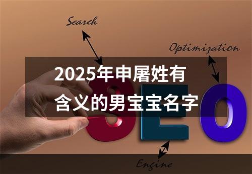 2025年申屠姓有含义的男宝宝名字