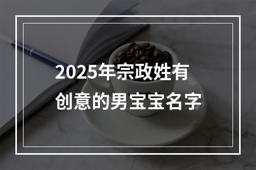 2025年宗政姓有创意的男宝宝名字