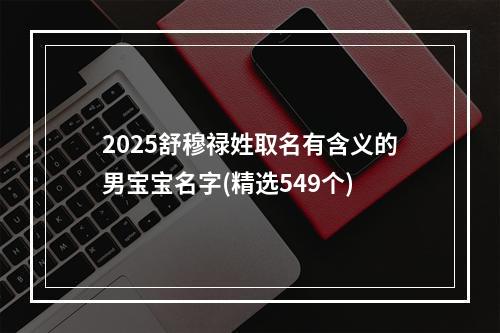 2025舒穆禄姓取名有含义的男宝宝名字(精选549个)