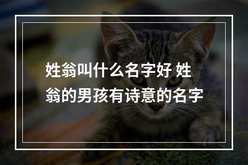 姓翁叫什么名字好 姓翁的男孩有诗意的名字