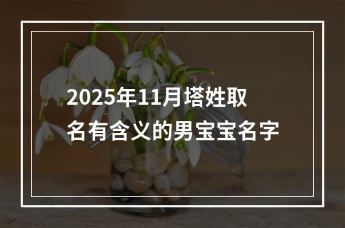 2025年11月塔姓取名有含义的男宝宝名字