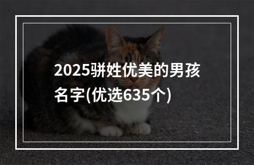 2025骈姓优美的男孩名字(优选635个)