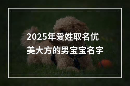2025年爱姓取名优美大方的男宝宝名字