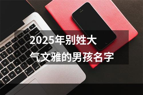 2025年别姓大气文雅的男孩名字