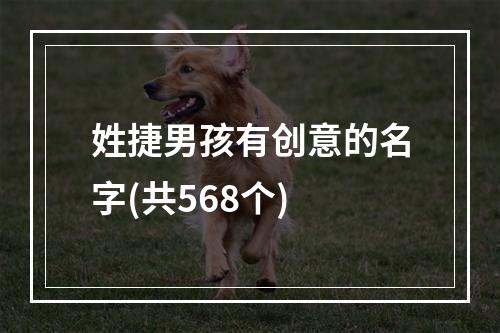 姓捷男孩有创意的名字(共568个)