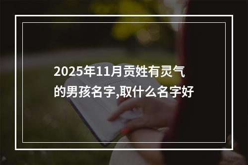 2025年11月贡姓有灵气的男孩名字,取什么名字好