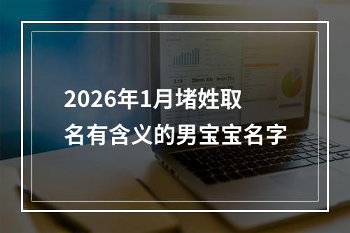 2026年1月堵姓取名有含义的男宝宝名字