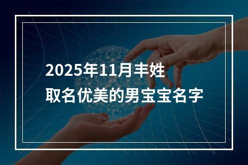 2025年11月丰姓取名优美的男宝宝名字