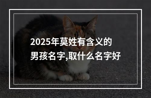 2025年莫姓有含义的男孩名字,取什么名字好