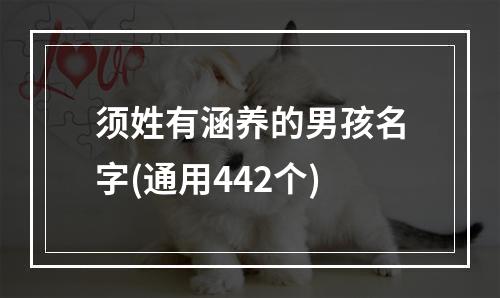 须姓有涵养的男孩名字(通用442个)