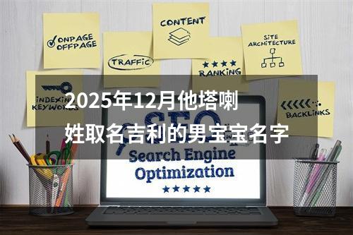 2025年12月他塔喇姓取名吉利的男宝宝名字