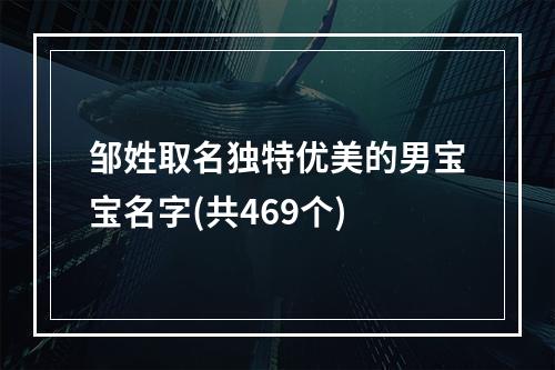 邹姓取名独特优美的男宝宝名字(共469个)