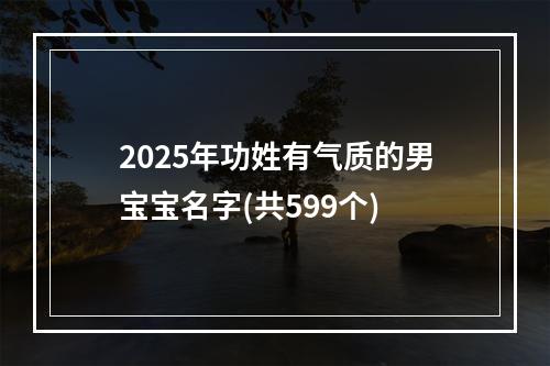 2025年功姓有气质的男宝宝名字(共599个)