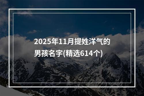 2025年11月提姓洋气的男孩名字(精选614个)