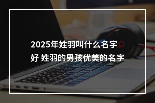 2025年姓羽叫什么名字好 姓羽的男孩优美的名字