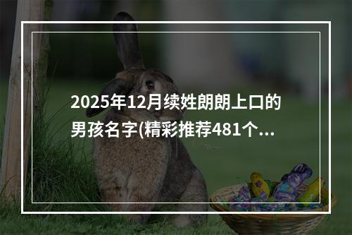 2025年12月续姓朗朗上口的男孩名字(精彩推荐481个)