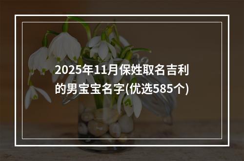 2025年11月保姓取名吉利的男宝宝名字(优选585个)