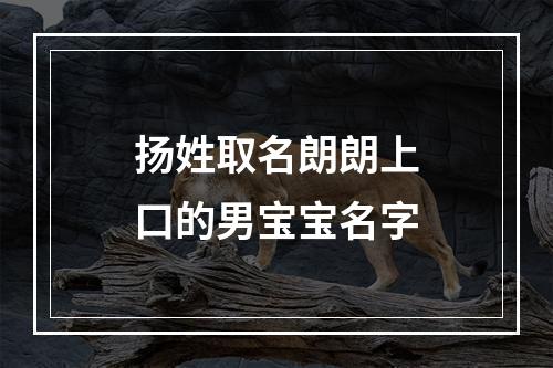扬姓取名朗朗上口的男宝宝名字