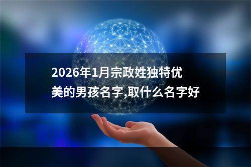 2026年1月宗政姓独特优美的男孩名字,取什么名字好