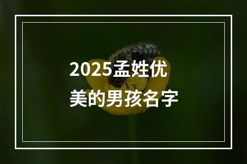 2025孟姓优美的男孩名字