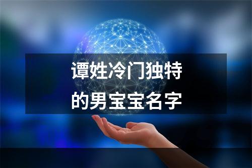 谭姓冷门独特的男宝宝名字