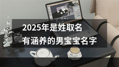 2025年是姓取名有涵养的男宝宝名字