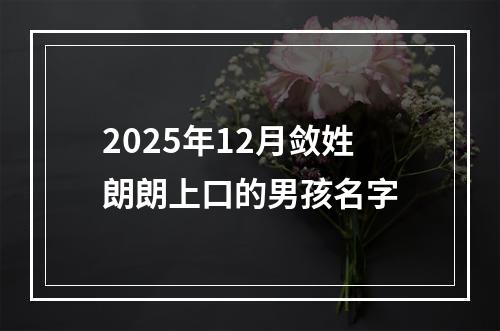 2025年12月敛姓朗朗上口的男孩名字