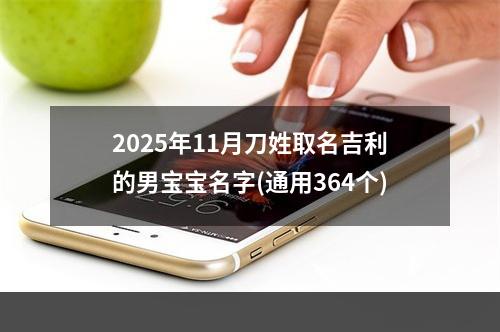 2025年11月刀姓取名吉利的男宝宝名字(通用364个)