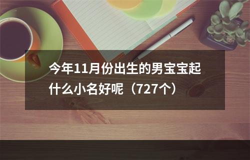 今年11月份出生的男宝宝起什么小名好呢（727个）