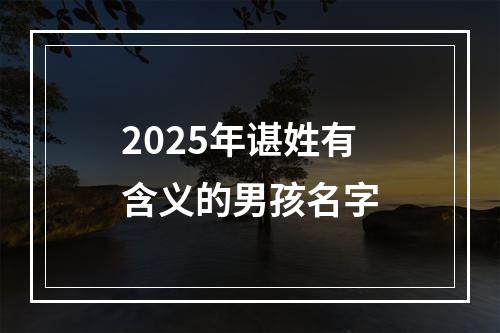 2025年谌姓有含义的男孩名字