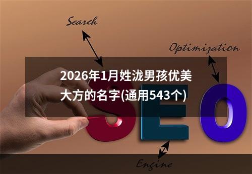 2026年1月姓泷男孩优美大方的名字(通用543个)