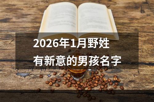 2026年1月野姓有新意的男孩名字