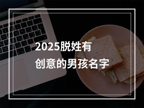 2025脱姓有创意的男孩名字