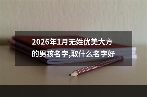 2026年1月无姓优美大方的男孩名字,取什么名字好